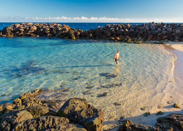 فيلة Jordi بلايا بلانكا